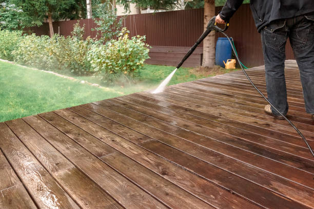 Best Pre-Holiday Cleaning  in Morrisonvle, IL