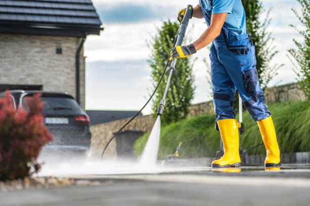 Best Gutter Cleaning  in Morrisonvle, IL